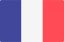flag-img